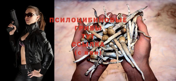 гидропоника Баксан