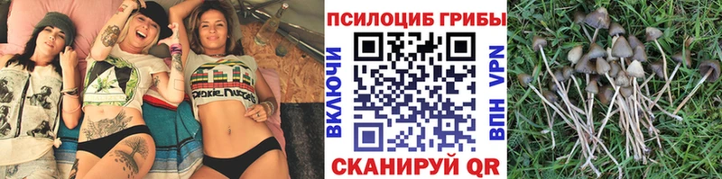 Псилоцибиновые грибы Magic Shrooms  Кольчугино 